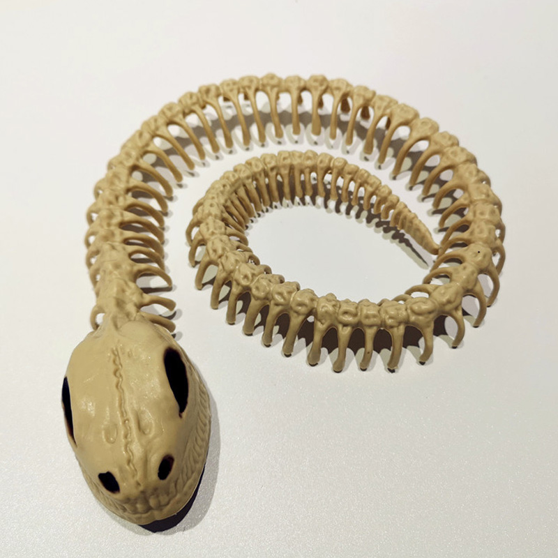 Animal Snake Skeleton Halloween Props