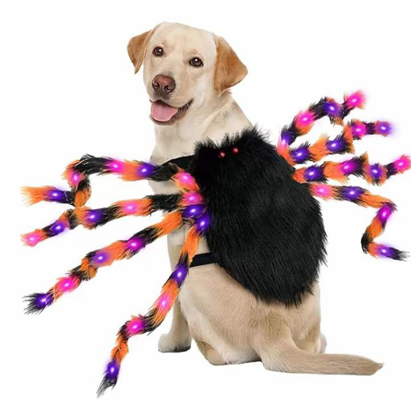 Pet Spider Costumes